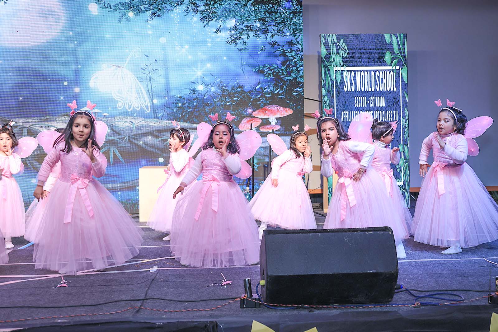 IMG_6231 copy