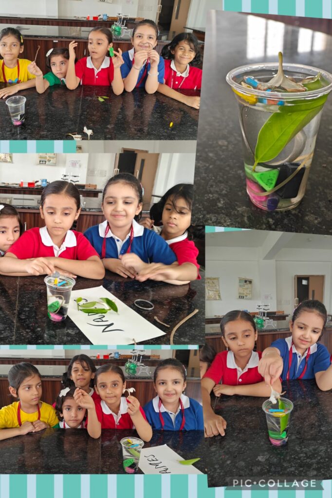 best school in Noida